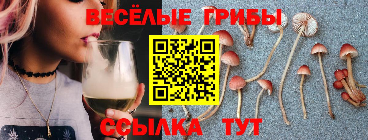 закладка  Псилоцибиновые грибы прущие грибы  Вход с VPN  Галлюциногенные грибы Psilocybine cubensis  Ярцево 